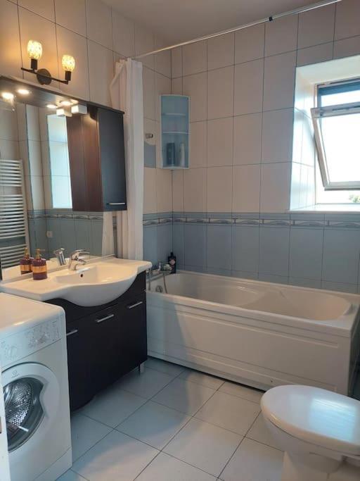 Apartament Cosy 1 Bed Flat Domenii, Herastrau, Elias, Veruvis *