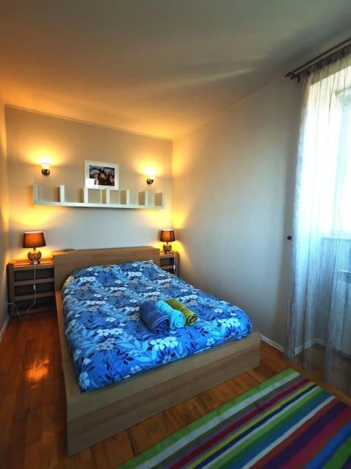 Apartament Cosy 1 Bed Flat Domenii, Herastrau, Elias, Veruvis Bucureşti
